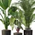 115 Plant Collection: Alocasia Dragon + Palm Areca + Strelitzia 3D model small image 2