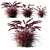 Lush Purple Fountain Grass 3D model small image 1