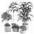 Green Oasis: Indoor Plant Set 3D model small image 6
