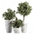 White Rock Pot Plant Set 266 3D model small image 1