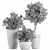 White Rock Pot Plant Set 266 3D model small image 5