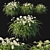 Arctic Snow Hemerocallis: Stunning Floral Perfection 3D model small image 1