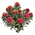 Waratah Telepea Speciosissima 2013: Stunning 3D Model 3D model small image 3