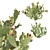 Prickly Pear Cactus: Lifelike 3D Models 3D model small image 1