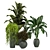 Green Oasis - Set of Indoor Plants 3D model small image 5