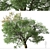 Valley Oak Tree - Majestic Native Californian Quercus lobata 3D model small image 4