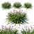 Zephyranthes Rain Lily 2013: Elegant Flower Power 3D model small image 1