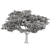 Evergreen Acacia Tree: Vol. 15 3D model small image 3