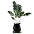 Green Oasis Plant Set - Indoor & Outdoor Pot Plants 3D model small image 4