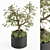 Zen Bonsai Set: Indoor Plant 234 3D model small image 1