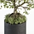 Zen Bonsai Set: Indoor Plant 234 3D model small image 2