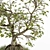 Zen Bonsai Set: Indoor Plant 234 3D model small image 3