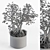 Zen Bonsai Set: Indoor Plant 234 3D model small image 4