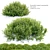 Lush Emerald Manzanita Shrub 3D model small image 1