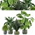 Tropical Greenery - Set of Indoor Plants 3D model small image 1