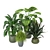 Tropical Greenery - Set of Indoor Plants 3D model small image 5