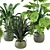 Tropical Greenery - Set of Indoor Plants 3D model small image 6