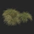 Sleek HairSedge Model - 3Ds Max 3D model small image 3