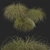 Sleek HairSedge Model - 3Ds Max 3D model small image 9