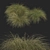 Sleek HairSedge Model - 3Ds Max 3D model small image 10