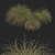 Sleek HairSedge Model - 3Ds Max 3D model small image 12