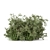 Lush Outdoor Bush Set - 219 Varieties 3D model small image 6