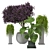 Exquisite Outdoor Plant Set 3D model small image 1