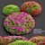 Blossom Azalea: Vray & Corona 3D model small image 1