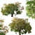 Kellogg Oak Tree: California's Majestic Beauty 3D model small image 3