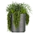 Premium Plant Collection (Vol. 232) 3D model small image 2