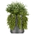 Premium Plant Collection (Vol. 232) 3D model small image 4