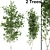 Aspen Duo: Natural Tree Beauty 3D model small image 1