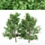 Korean Stewartia: 4 Gorgeous Trees 3D model small image 1