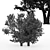 Korean Stewartia: 4 Gorgeous Trees 3D model small image 4