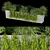 Premium Plant Collection Vol. 233 3D model small image 2