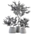 Olive Oasis: Indoor Plant Set 3D model small image 5