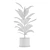 Exotic Indoor Plants Collection 3D model small image 1