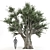 Artsy Olive Tree 3D Model 3D model small image 2