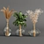 Dried Plant and Pampas Bouquet 3D model small image 3