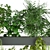  Premium Plant Collection Vol. 234 3D model small image 4