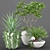 Tropical Oasis: High-quality Plants 3D model small image 7