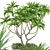 Tropical Oasis: High-quality Plants 3D model small image 9