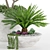 Tropical Oasis: High-quality Plants 3D model small image 10