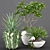 Tropical Oasis: High-quality Plants 3D model small image 19