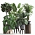 Tropical Plant Collection: Exotic Monstera, Alocasia, and Ficus 3D model small image 1