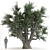 3D Olive Tree Model - PBR Material 3D model small image 2