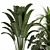 Stylish Indoor Plant Set06 3D model small image 4