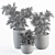 Green Oasis: Indoor Plant Set 3D model small image 5