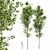 Birch 2 Trees - 3D Models With High Resolution 3D model small image 1