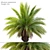 Canary Island Date Palm: 3m 3D model small image 1